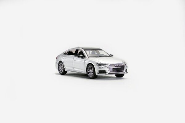 AUDI A6(C8)-SILVERY
