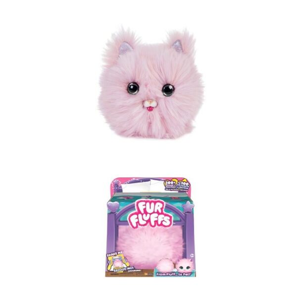 Surprise furry darling - kitten