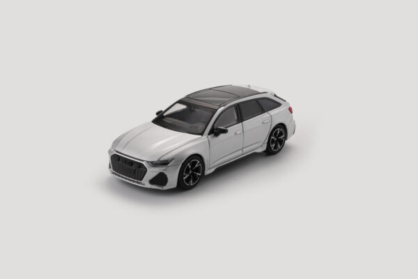 Audi RS 6 Avant-Matte Sliver