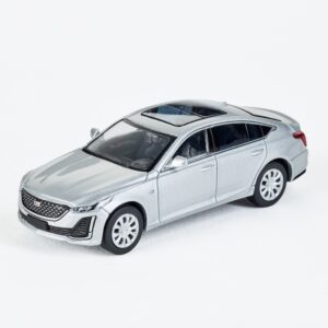 CT5-SILVERY