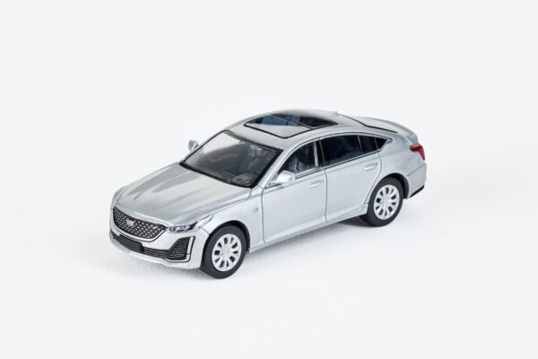 CT5-SILVERY