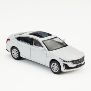 CT5-WHITE