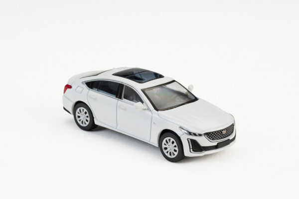 CT5-WHITE