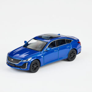 CT5-BLUE