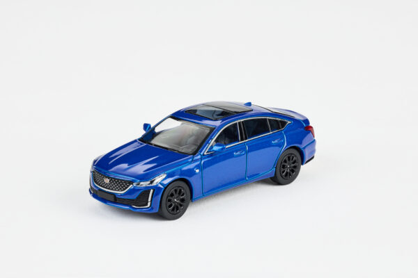 CT5-BLUE